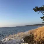 Inland - Butenschoen