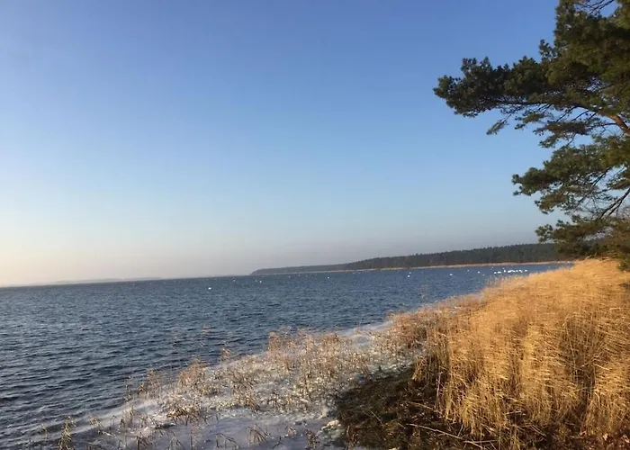 Inland - Butenschoen